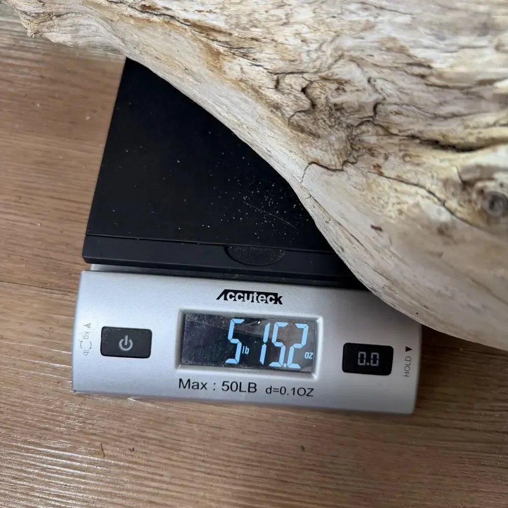 Large White Weathered Driftwood Log Sculpture – Natural Coastal Decor Statement